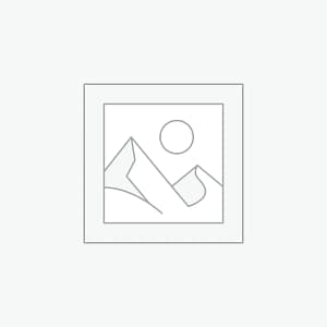 عنصر نائب Placeholder